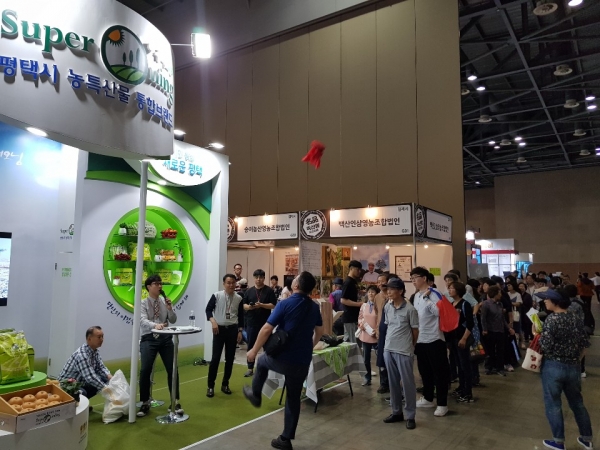 �����ý� 2019�� ���ѹα� ��ǰƯ�깰 �佺Ƽ�� ����