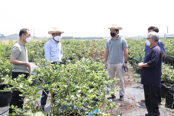 �����弱 ���ý��� �� �ϼ� ���⿡ ���弭