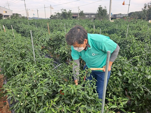 ����籤 �������� ���ýð������������� ������ ������ �ϼ��� ���� �ִ�.